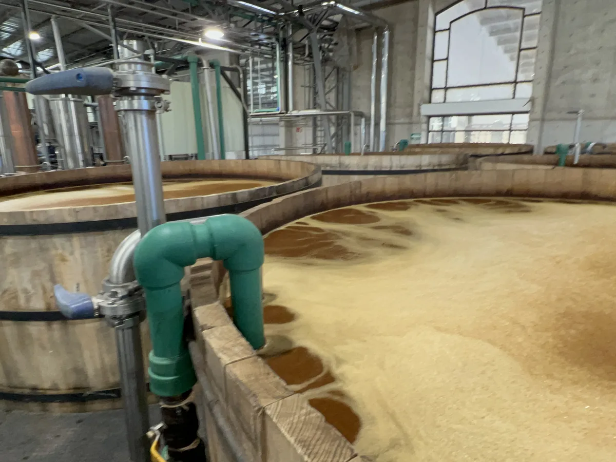 木桶の中で発酵が進むモスト
